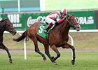 Takeover Target