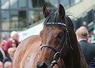 Al Kazeem