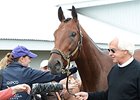Baffert Marvels at 'Pharoah' After Classic Baffert Marvels at 'Pharoah' After Classic