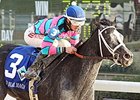 Louisiana Breeders Announces Champions Louisiana Breeders Announces Champions