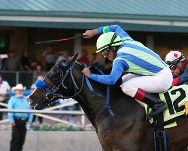 Back Seat Hero definitely took the front seat in the NM Classic Cup Juvenille Championship at Zia Park.