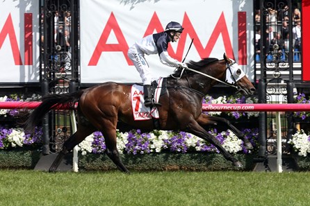 New Zealand-bred Tarzino left the gate the favorite and outstayed his 15 overmatched rivals in the Aus$1.5million AAMI Victoria Derby (Aus-I) at Flemington Racecourse.