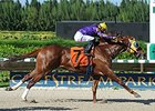 Saraguaro is slated to seek his third straight stakes victory in the Sunshine Millions Classic.<br><a target="blank" href="http://photos.bloodhorse.com/AtTheRaces-1/At-the-Races-2015/i-7rd94Dt">Order This Photo</a>