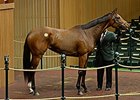 Claiborne Goes to $675K for Malibu Moon Filly Claiborne Goes to $675K for Malibu Moon Filly