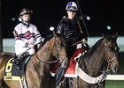 Risen Star Runner-Up Forevamo Bounces Back Risen Star Runner-Up Forevamo Bounces Back