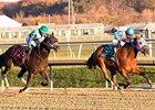 Frank De Francis Memorial Graded for 2016 Frank De Francis Memorial Graded for 2016