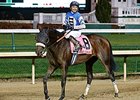 Foster Fave Effinex Gives Cohen Great Ride Foster Fave Effinex Gives Cohen Great Ride
