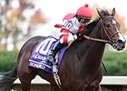 Champions Nyquist, Songbird Top Experimental Champions Nyquist, Songbird Top Experimental