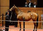 Hip 89 sells for $2.1 million