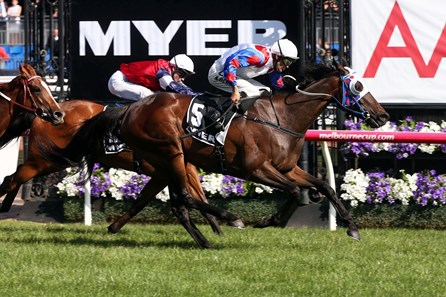 Politeness excused his manners in the Myer Classic at Flemington Racecourse in Australia.