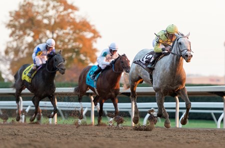 With a patient ride and a sweeping move in the final turn, Bailoutbobby took the 1 3/4-mile $200,000 Marathon Stakes (gr. II) at Keeneland by 5 1/4 lengths.
