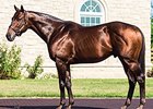 Adena Springs Stallion Tiago Euthanized Adena Springs Stallion Tiago Euthanized