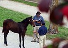 Weanlings Top Sellers at Keeneland Session Weanlings Top Sellers at Keeneland Session