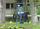 More Improvements Planned for Leopardstown More Improvements Planned for Leopardstown