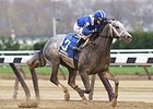Undefeated Mohaymen on target for Holy Bull