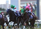 Marialite Denies Nuovo Record in QE II Cup Marialite Denies Nuovo Record in QE II Cup