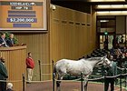 Hip 79, Hard Not to Like, was purchased by DATTT Stable $2.2 million