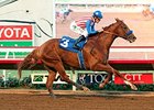 Dortmund cruises to victory in the Native Diver.
