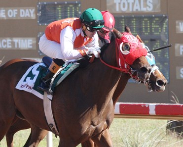 Hurricane Hush storms to victory in the NM Classic Cup Filly & Mare Sprint Championship at Zia Park.