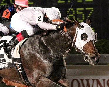 Forest Lake is victorious in the Magnolia Stakes at Delta Downs in Vinton, Louisiana.