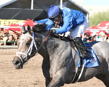 Heidi's in Charge lived up to her name in the ATBA Fall Sales Stakes (Fillies Division) at Turf Paradise.