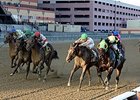 Green Gratto Named Top 2015 New Jersey-Bred Green Gratto Named Top 2015 New Jersey-Bred