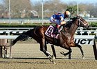 Sudden Surprise will try two turns for the first time in the Gander Stakes.<br><a target="blank" href="http://photos.bloodhorse.com/AtTheRaces-1/At-the-Races-2015/i-jrMDJRL">Order This Photo</a>