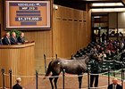 Sunset Glow was bought by for $1.37 million