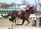 Tommy Macho Pulls Away in Discovery 'Cap Tommy Macho Pulls Away in Discovery 'Cap