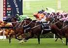 Military Attack get the victory in the Longines Jockey Club Cup.