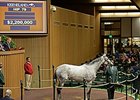 Hard Not to Like is the Keeneland November Session 1 sale topper.