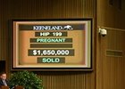 Spring in the Air sells for $1.65 million