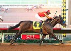 Toews On Ice faces a full field in the Smarty Jones.
