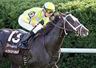 Airoforce, Mo Tom Top Risen Star Airoforce, Mo Tom Top Risen Star