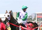 Australian Jockey Payne Offered BC Mount Australian Jockey Payne Offered BC Mount