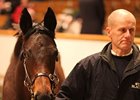 Lot 1225, a filly by Dubawi, brought 800,000 guineas.