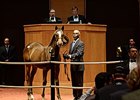 Hip 47, by Tapit, brought $600,000