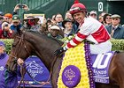 Songbird Takes Champion Juvenile Filly Honors Songbird Takes Champion Juvenile Filly Honors