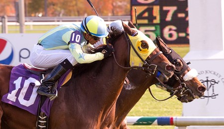 St. Albans Boy captures the Laurel Turf Cup Stakes at Laurel Park.