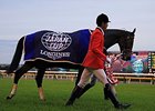 Shonan Pandora wins the Japan Cup.
<br><a target="blank" href="http://photos.bloodhorse.com/AtTheRaces-1/At-the-Races-2015/i-wbdDtDt">Order This Photo</a>