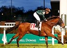 Button Down Secures First Stakes in Cardinal Button Down Secures First Stakes in Cardinal