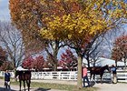 Keeneland Day 6: Bernardini Half Sister Stars Keeneland Day 6: Bernardini Half Sister Stars