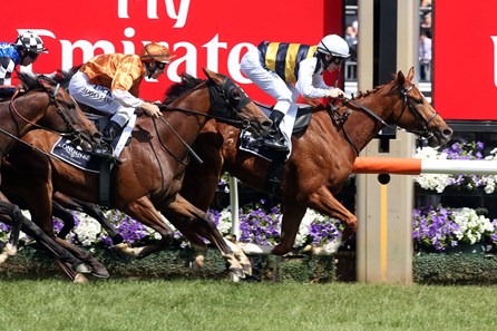 Gailo Chop cut down the rest of the field in the Mackinnon Stakes at Flemington Racecourse in Australia.
