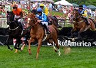 Bonus Ties U.S., English Steeplechase Races Bonus Ties U.S., English Steeplechase Races
