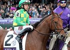 Keen Ice Nears Return, Irish Freedom to Rest Keen Ice Nears Return, Irish Freedom to Rest