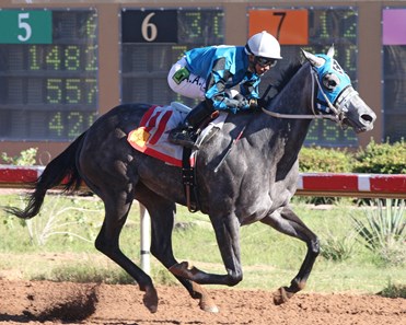 Diabolical Dame schemes her way to victory in the NM Classic Cup Oaks Championship at Zia Park.