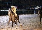 Airoforce wins KY Jockey Club Stakes in 2015