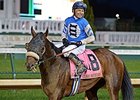 Effinex, winning the Clark Handicap.
