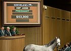 At Friday's final session, the Unbridled's Song mare Prime the Pump brought $53,000 from Machmer Hall and Haymarket as the day's top lot.