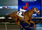 Melmich wins the Valedictory Stakes.